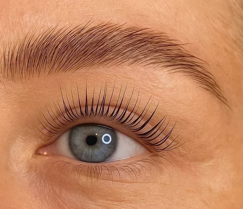 Wimpern nach dem Korean Lashlifting